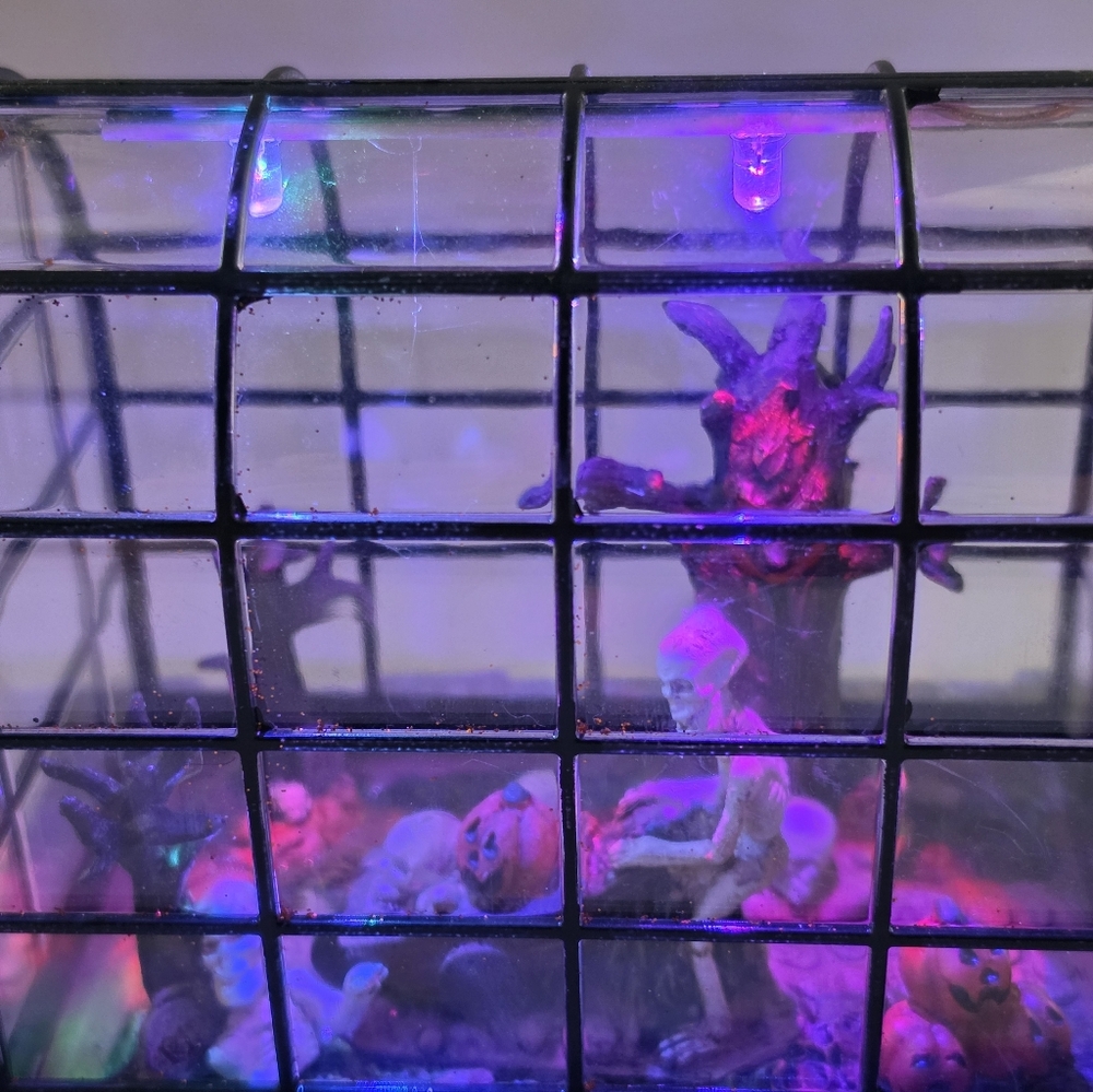 Pumpkin Hollow Spooky Greenhouse LED Color Changing Musical Halloween Village Bu - Picture 10 of 11